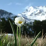 Farmház Raethia Isolaccia