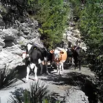 Farmház Raethia