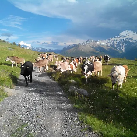 Raethia Farm stay *