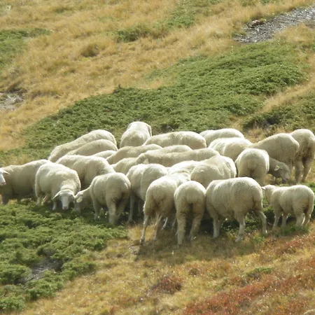 Séjour à la ferme Raethia *