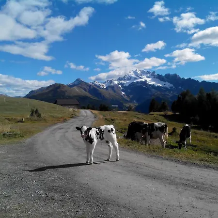 Farm stay Raethia Isolaccia