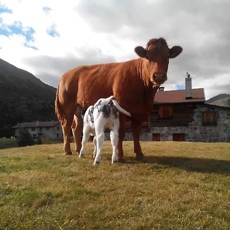 Farm stay Raethia