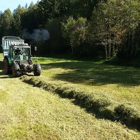 Raethia Farm stay *