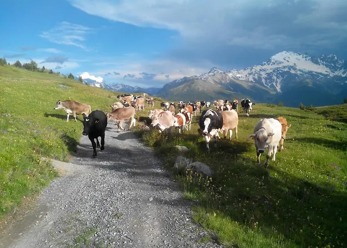 Raethia Séjour à la ferme *
