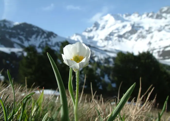 Séjour à la ferme Raethia Isolaccia