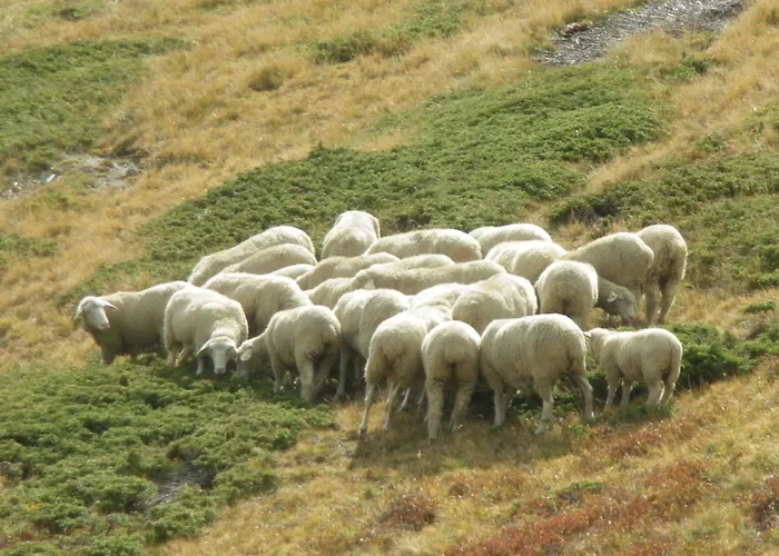 Séjour à la ferme Raethia *