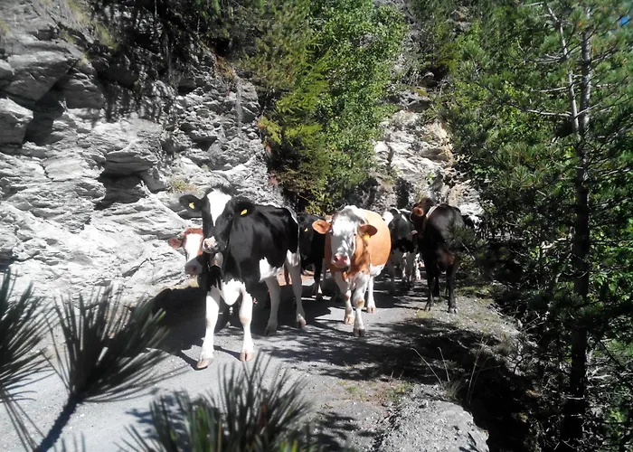 Séjour à la ferme Raethia