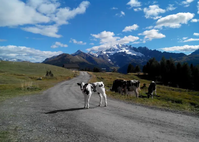 Séjour à la ferme Raethia Isolaccia