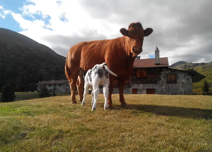Séjour à la ferme Raethia