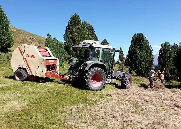 Raethia Séjour à la ferme