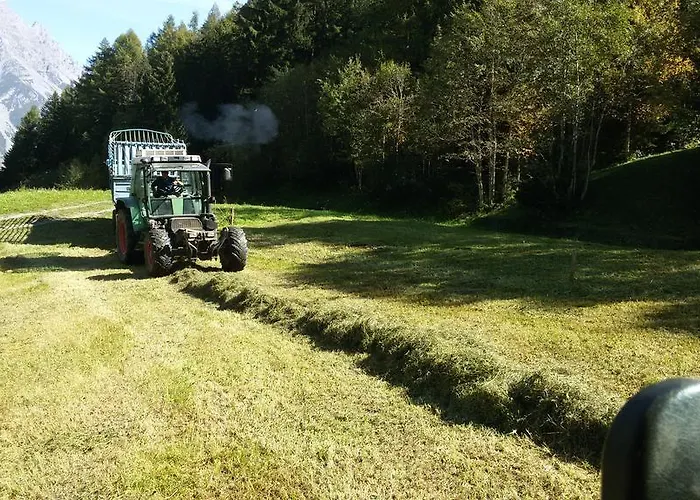 Raethia Séjour à la ferme *
