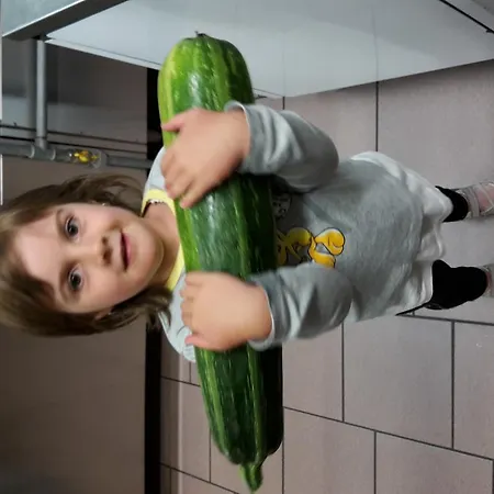 Gospodarstwo agroturystyczne Raethia