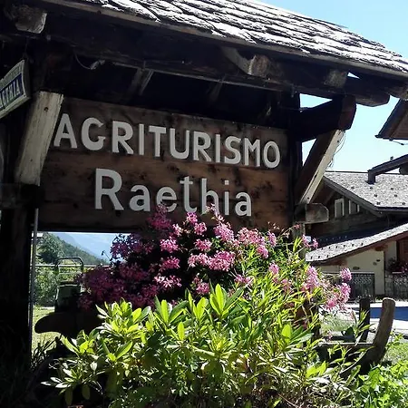 Raethia